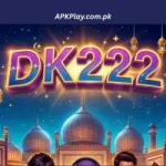 DK222 Game