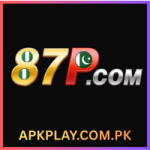 87P Game